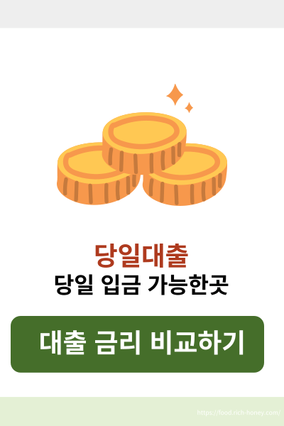 당일대출가능한곳