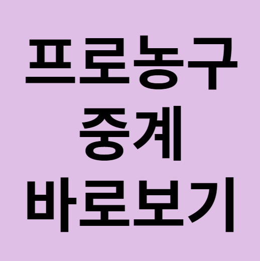 프로남자농구 실시간 인터넷 생중계 보는 법