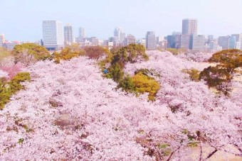 일본여행 후쿠오카