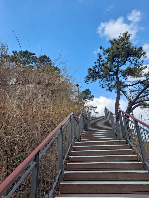 응봉산 가파른 계단