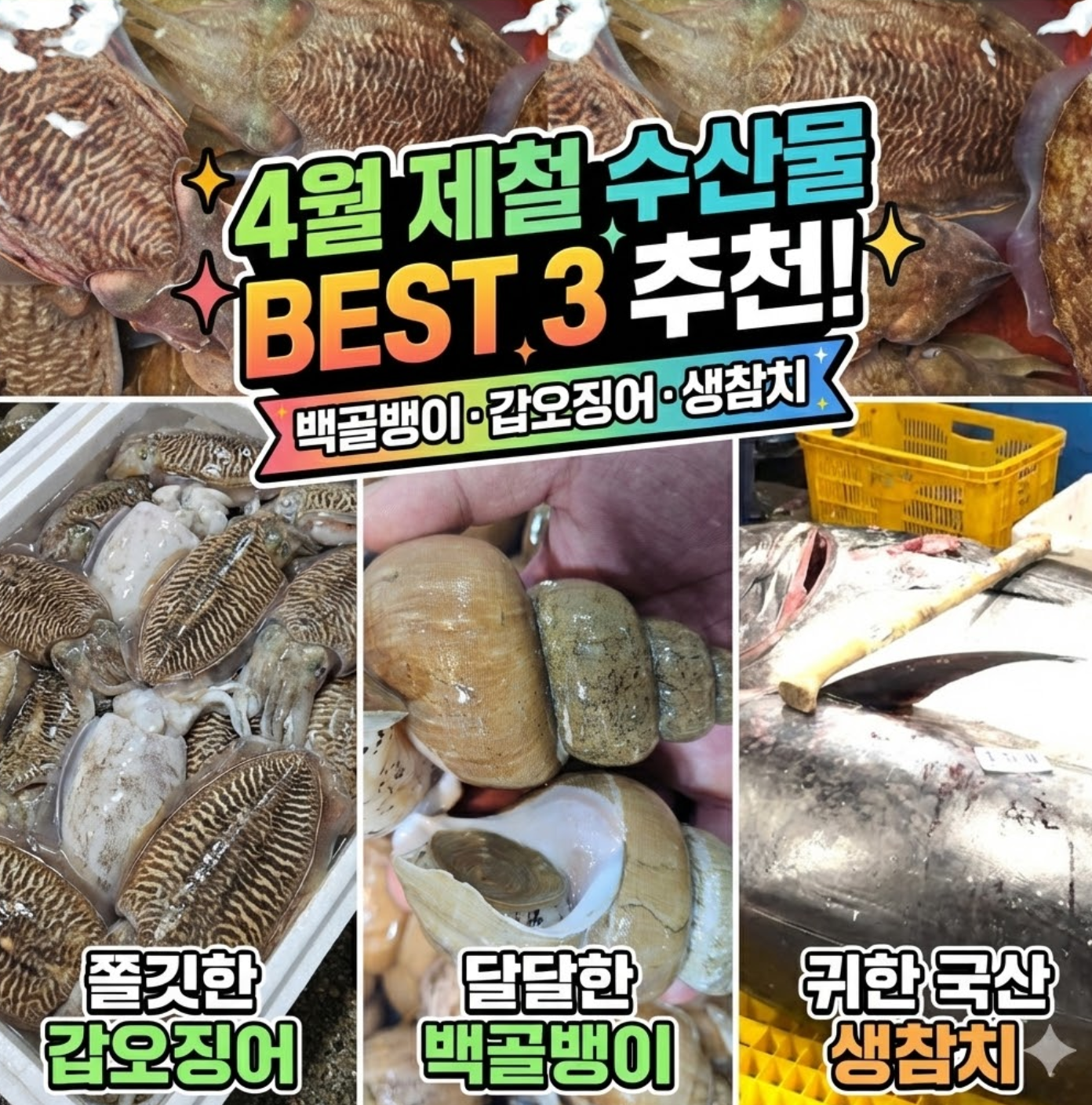 2026년 4월 제철 수산물 추천 (백골뱅이, 갑오징어, 생참치)