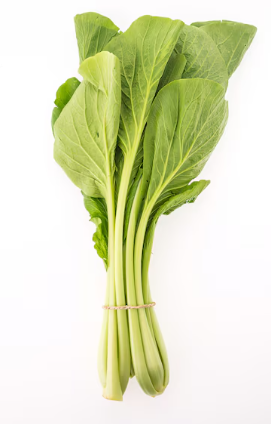 갑상선에 좋은 음식 15