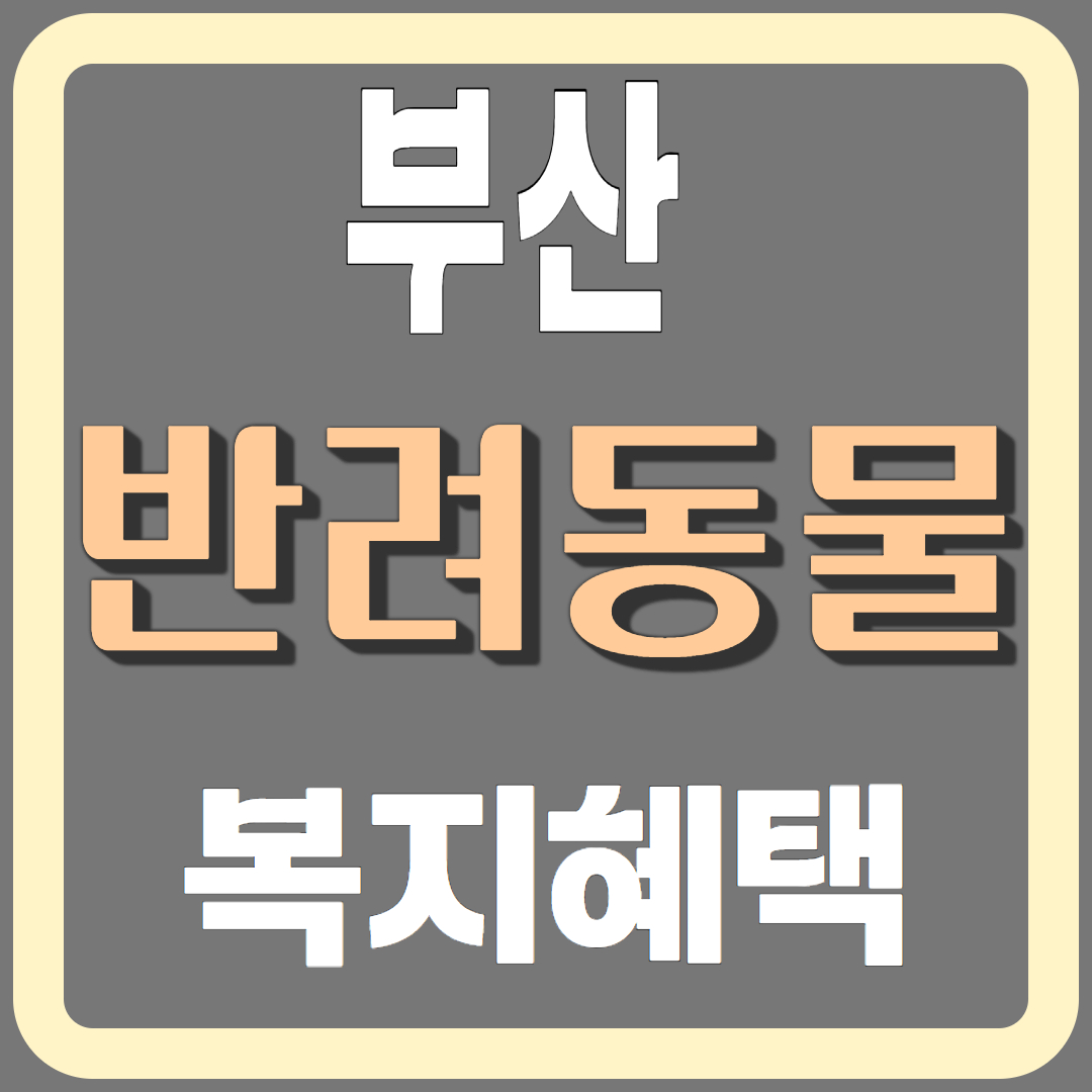 부산 반려동물 복지센터 혜택 제대로 알기