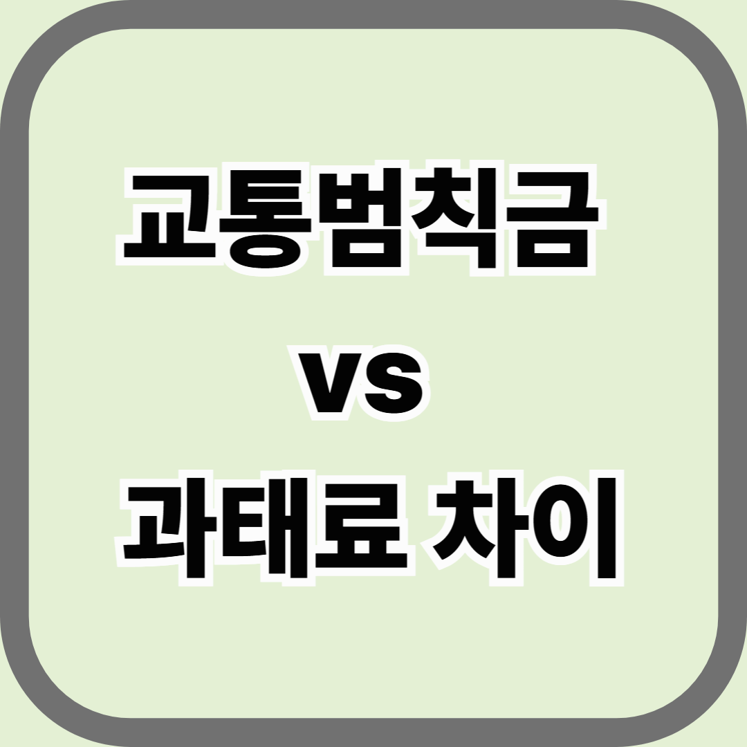 교통범칙금 vs 과태료 차이, 헷갈리지 말자