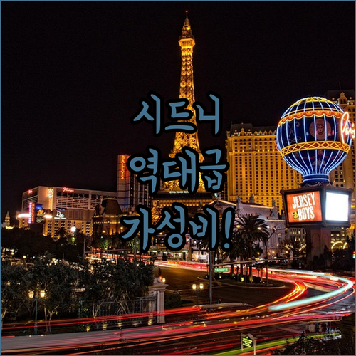 가성비와 럭셔리 다 잡은 시드니 맥쿼..
