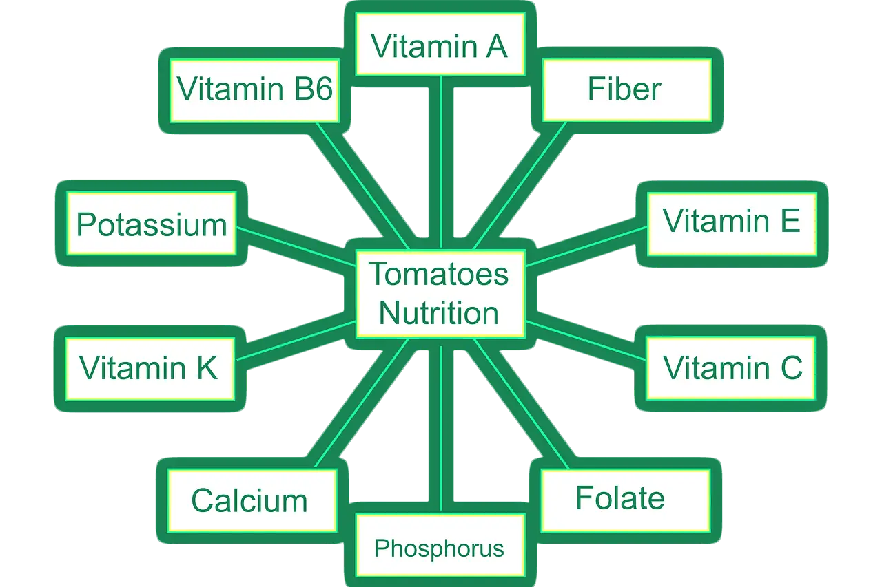 당뇨와 비타민B