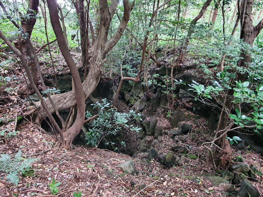 거문오름 내부 탐방