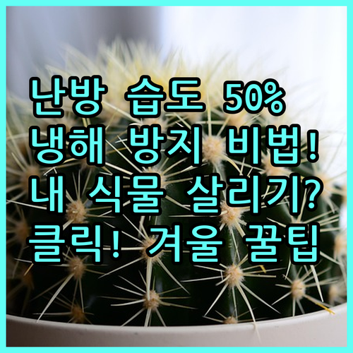 실내 난방 시 식물 습도 50퍼센트 ..