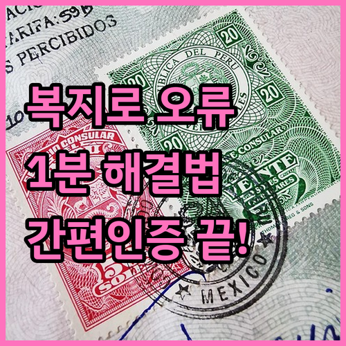 복지로 공동인증서 오류 해결과 간편인..