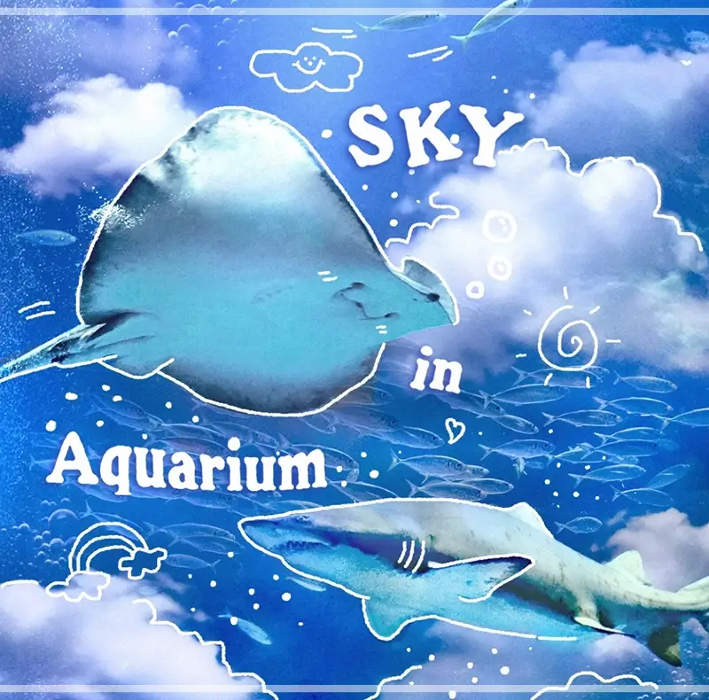 롯데월드-아쿠아리움-할인-요금-운영시간