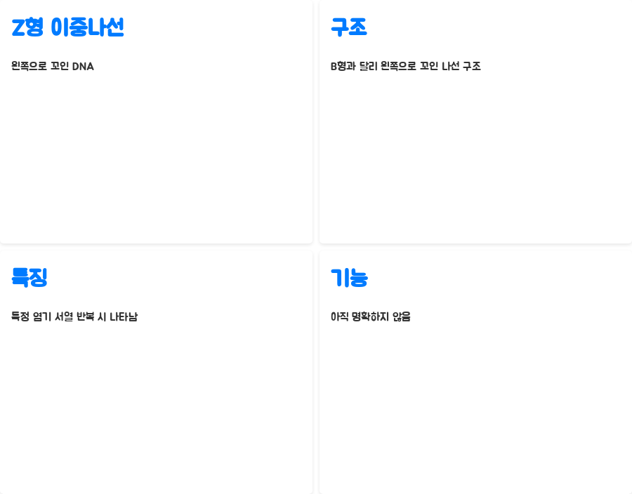 DNA 이중나선 구조, 왜 이렇게 안정적일까요? 분자생물학의 놀라운 비밀! - DNA 이중나선 구조의 다양한 형태와 안정성 - Z형 이중나선: 왼쪽으로 꼬인 DNA