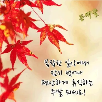 가을 인사말 문구 모음 정리_43
