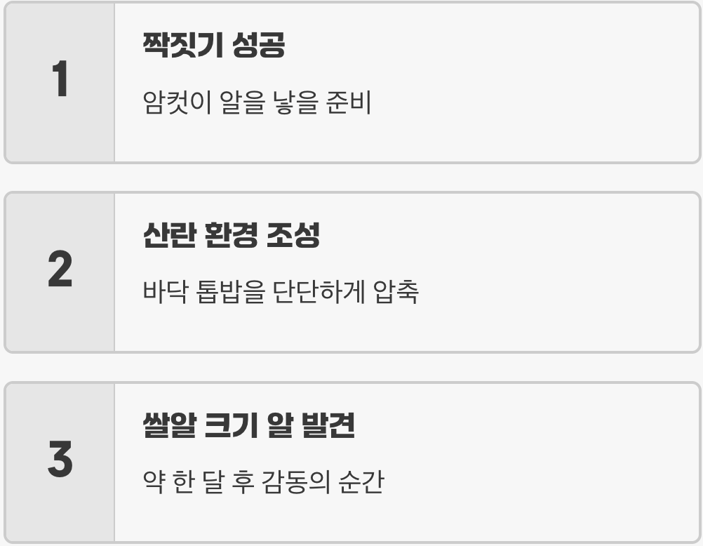 새로운 왕조의 시작&amp;#44; 산란 세팅