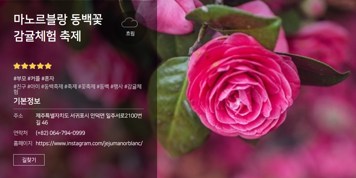 제주도 마노르발랑 동백꽃 감귤체험 축제 여행팁