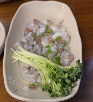 낙지