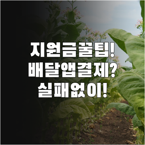 민생지원금 배달앱 결제 실패 없이 쓰..