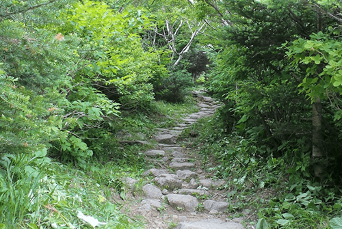 삼신봉15