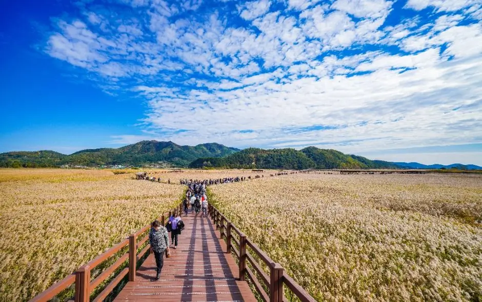 d5dfae4f-39f7-40a3-b80d-b045c0a39c48_6