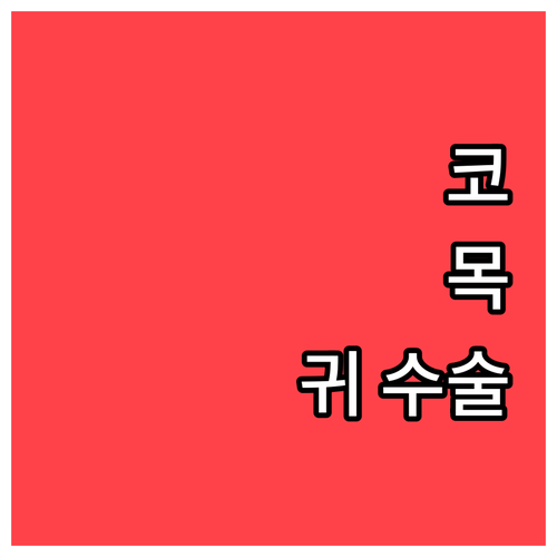 이비인후과 수술 가이드: 종류, 과정