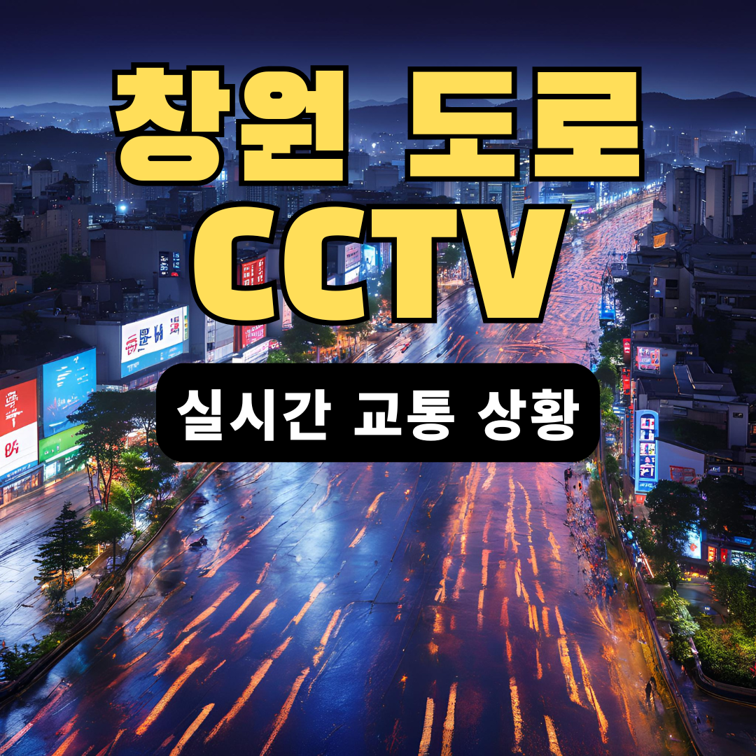 창원 도로 CCTV
