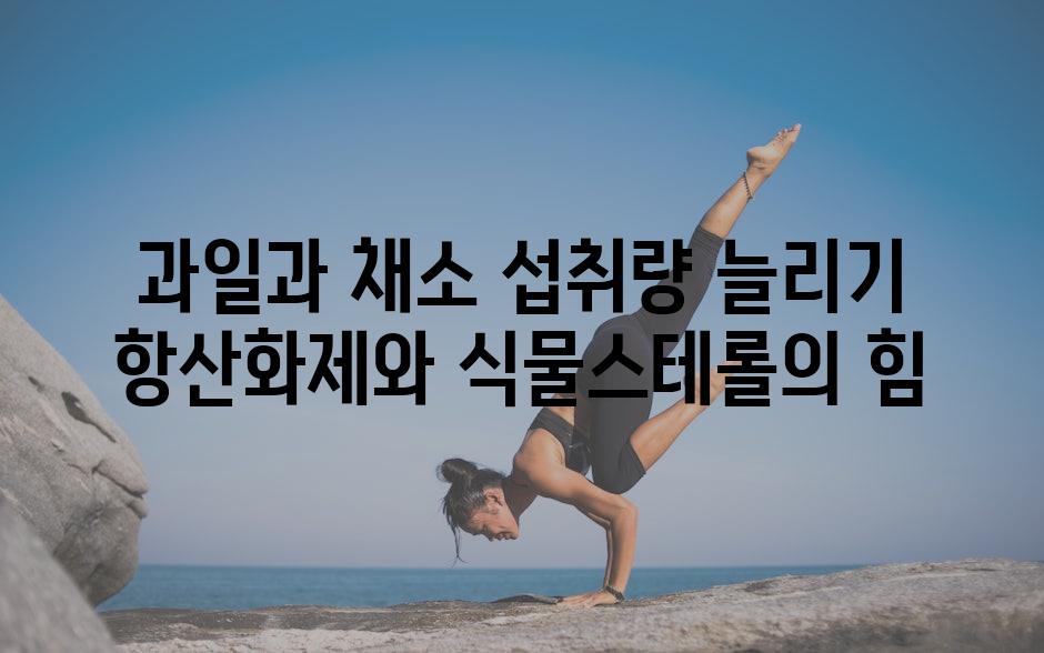 과일과 채소 섭취량 늘리기 항산화제와 식물스테롤의 힘