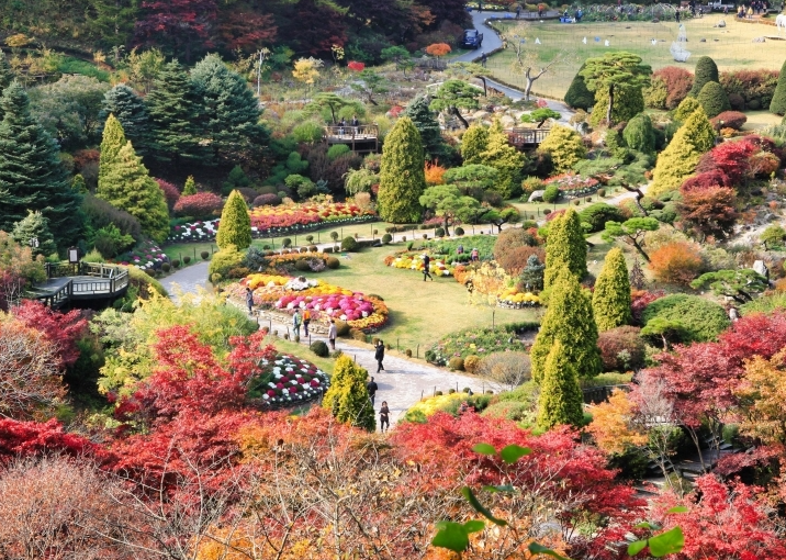 아침고요수목원