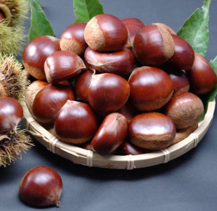 한국의 떡 종류 달팽이떡-밤