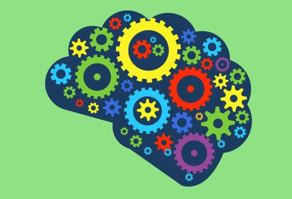 중추신경계 질환 종류 총정리 관련 사진