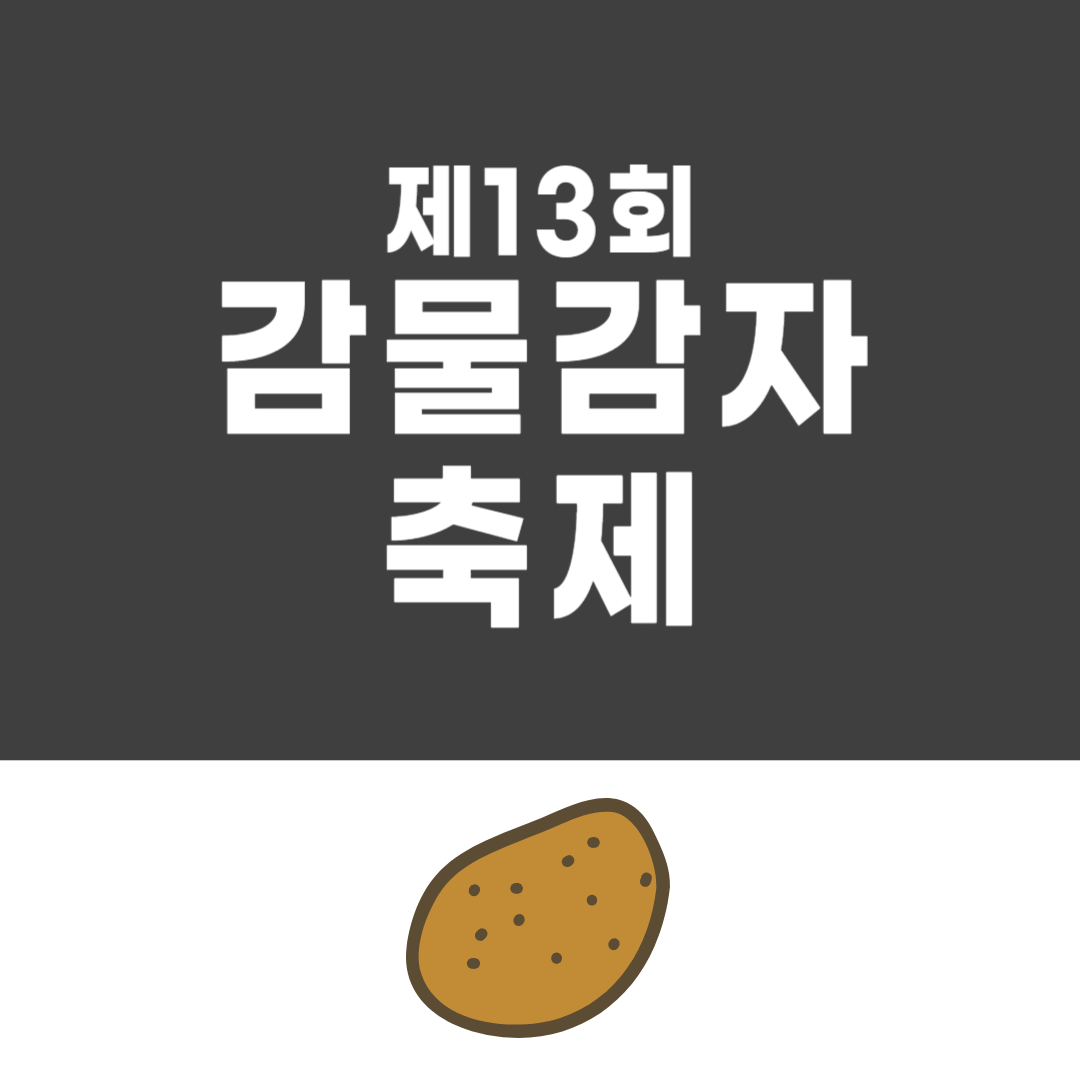 제13회 감물감자축제 소개