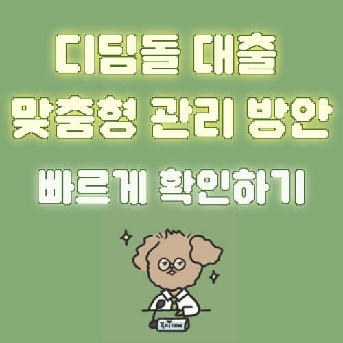 디딤돌대출맞춤형관리방안
