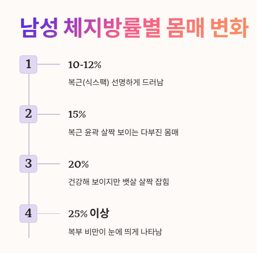 체지방률별 남성 몸매 변화