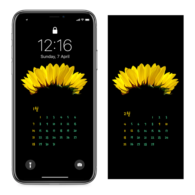 05 해바라기 검정배경 AB - 2024년1월 아이폰달력배경화면