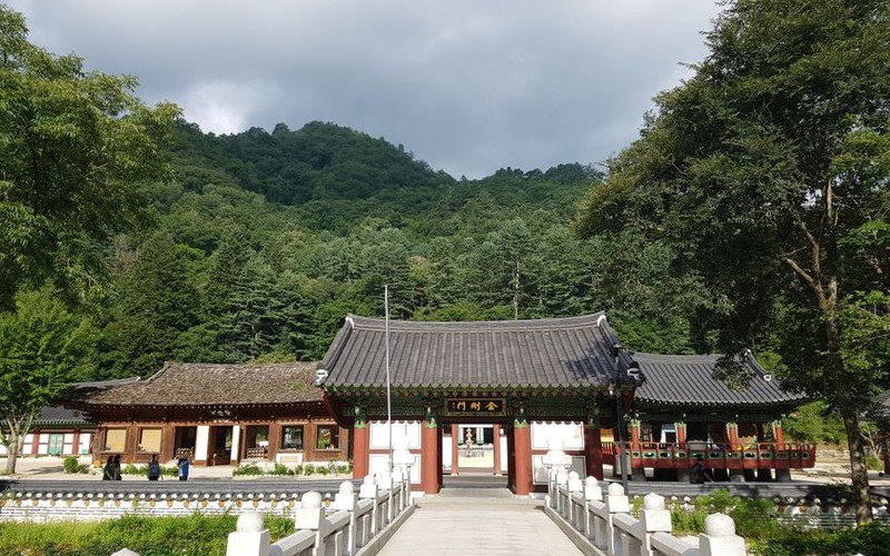 강원도 영월 당일치기 여행코스 추천: 청령포·장릉부터 한반도지형까지 실속