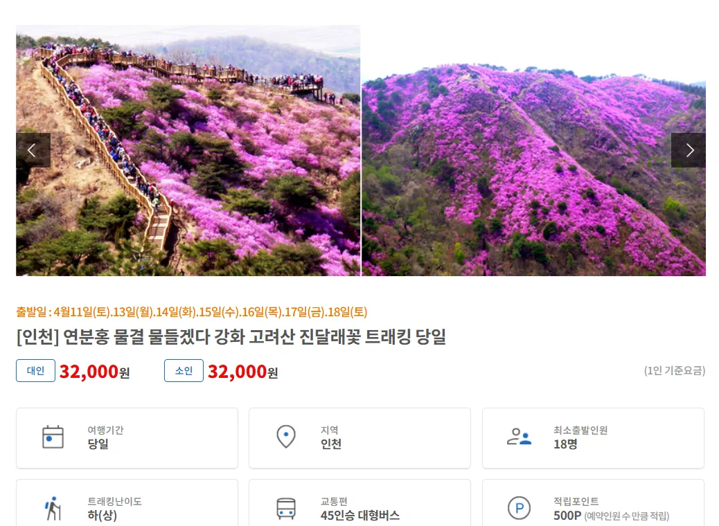 인천 강화도 고려산 여행자클럽 버스 투어