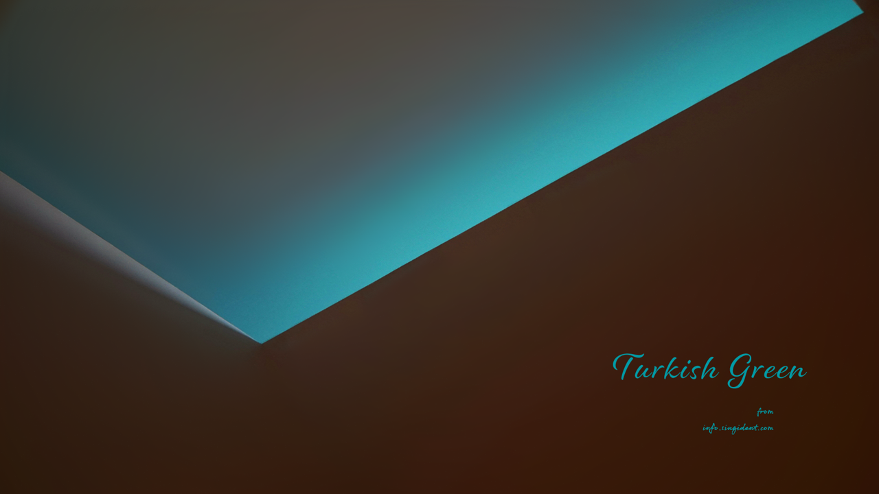 04 청록색과 갈색 C - Turkish Green 청록색배경화면
