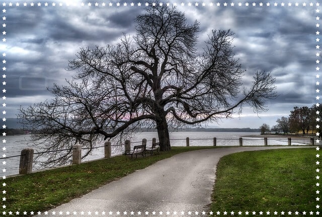 2025년 무직자 정부 지원 정책 완전정리