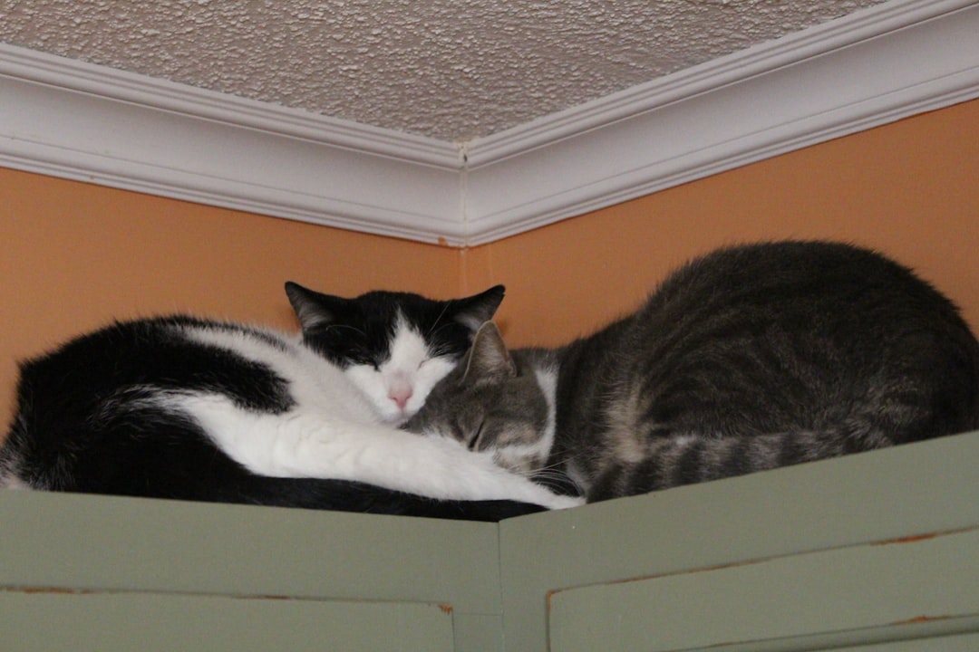 Joint ownership.