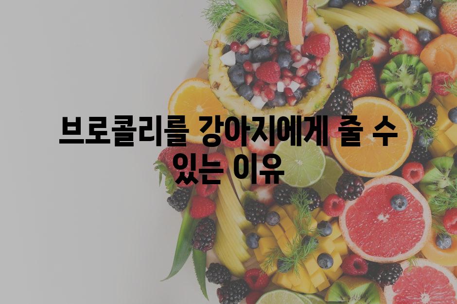브로콜리를 강아지에게 줄 수 있는 이유
