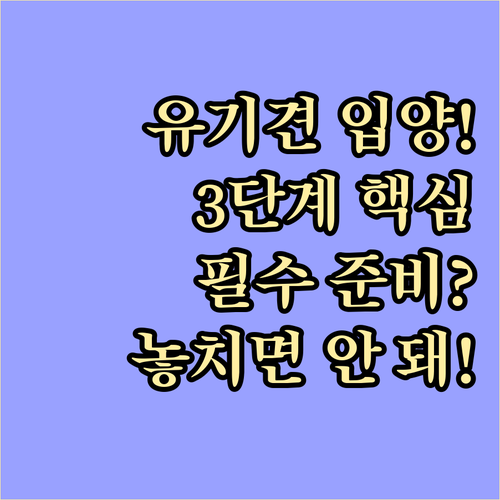유기견 입양의 모든 것: 3단계 절차..