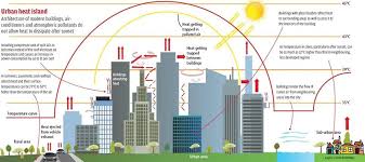 도시가 숨 쉬는 방식과 열을 품는 구조를 분석하는 특수직업인, 도시 미세기류 열섬 반응 분석가