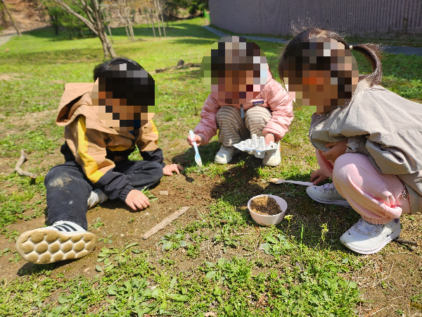 놀이 중심 교육, 왜 지금 다시 주목 받을까?