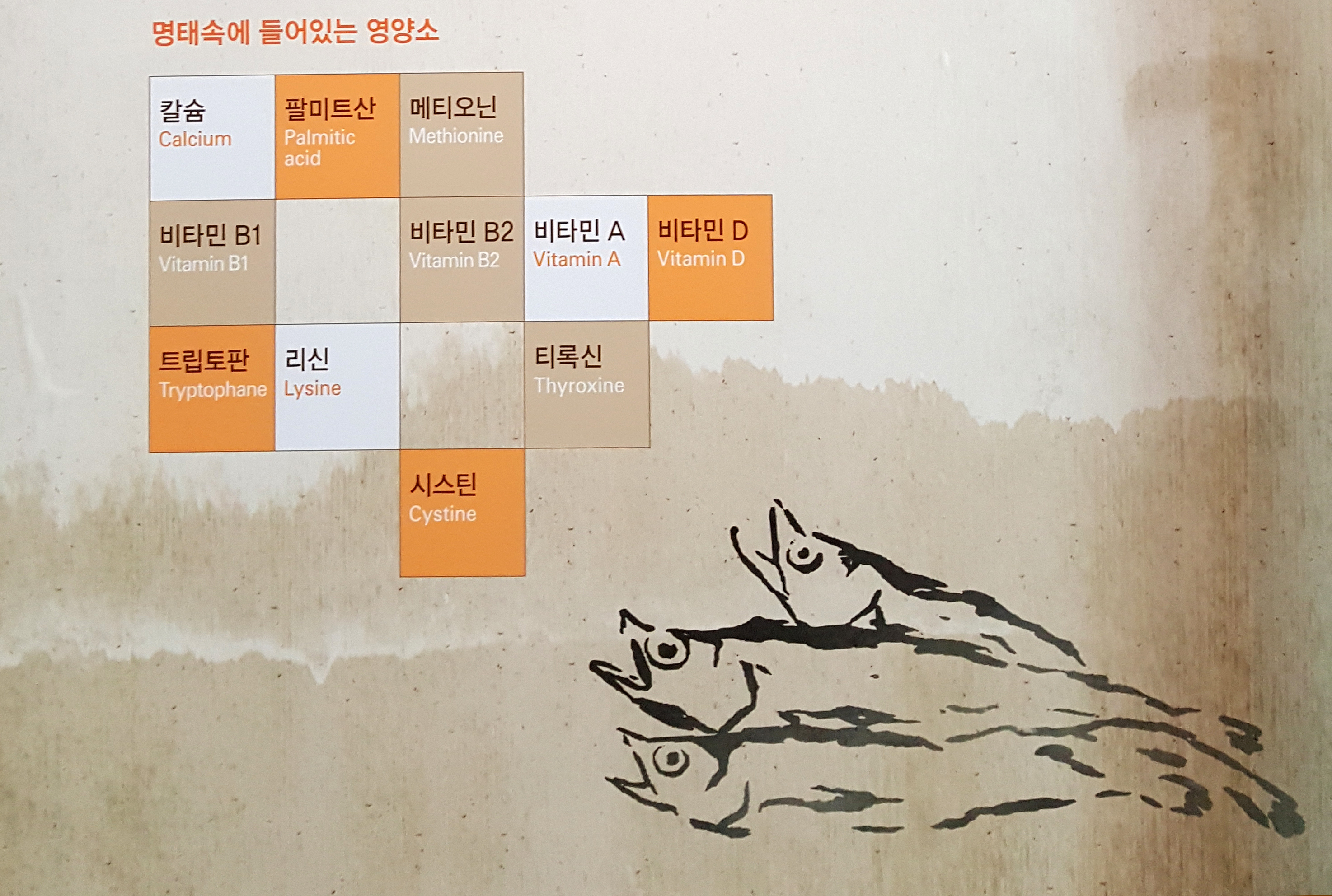 명태속에 들어있는 영양소