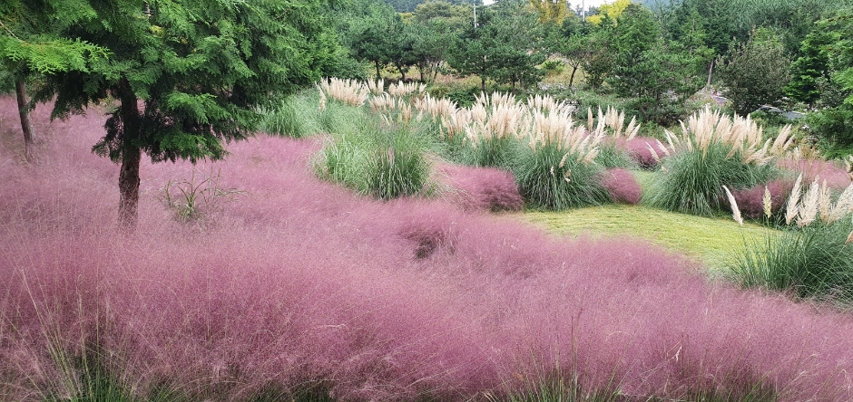 보성 가볼만한곳 베스트10