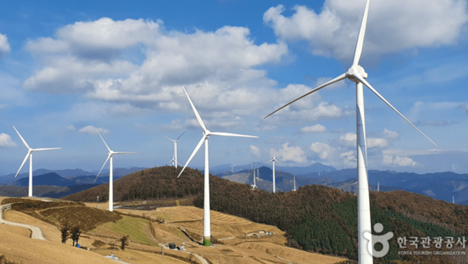 태백 가볼만한곳