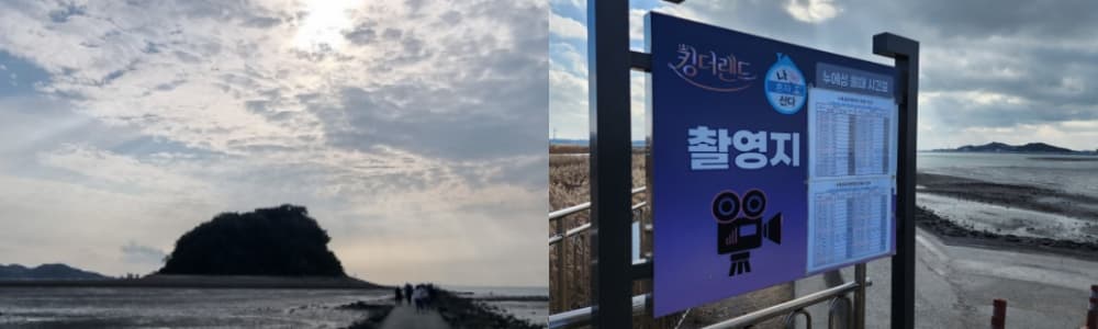 생생정보통 오늘방송(3월 6일) 맛집 사또횟집사또조개구이,누에섬,대림농장,안산식물원,시화달전망대