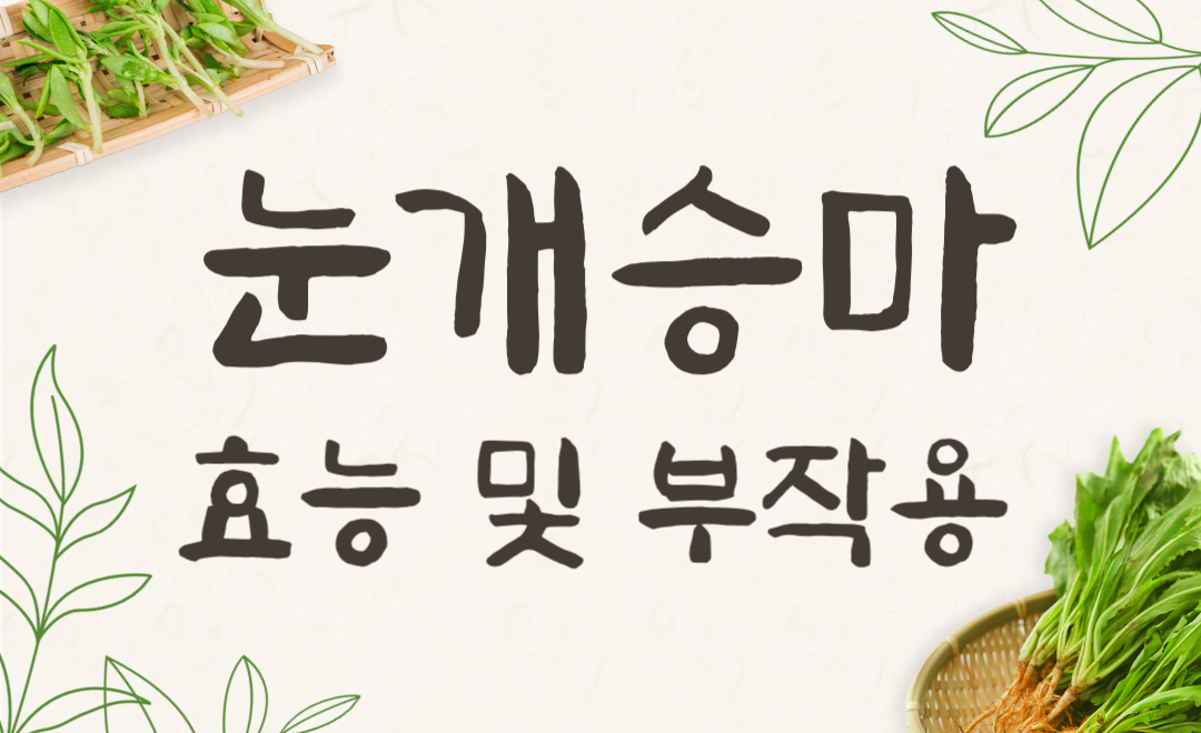 눈개승마(능개승마) 효능과 부작용, 장아찌로 먹는법까지