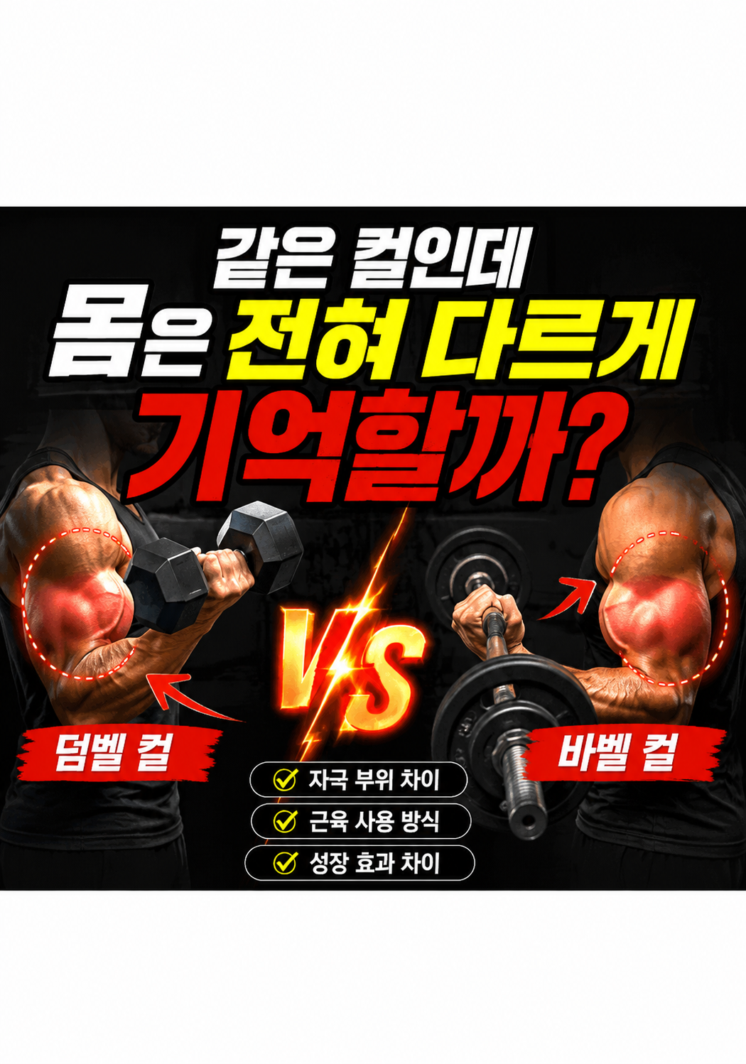 덤벨 컬 vs 바벨 컬:왜 같은 컬인데 몸은 전혀 다르게 기억할까