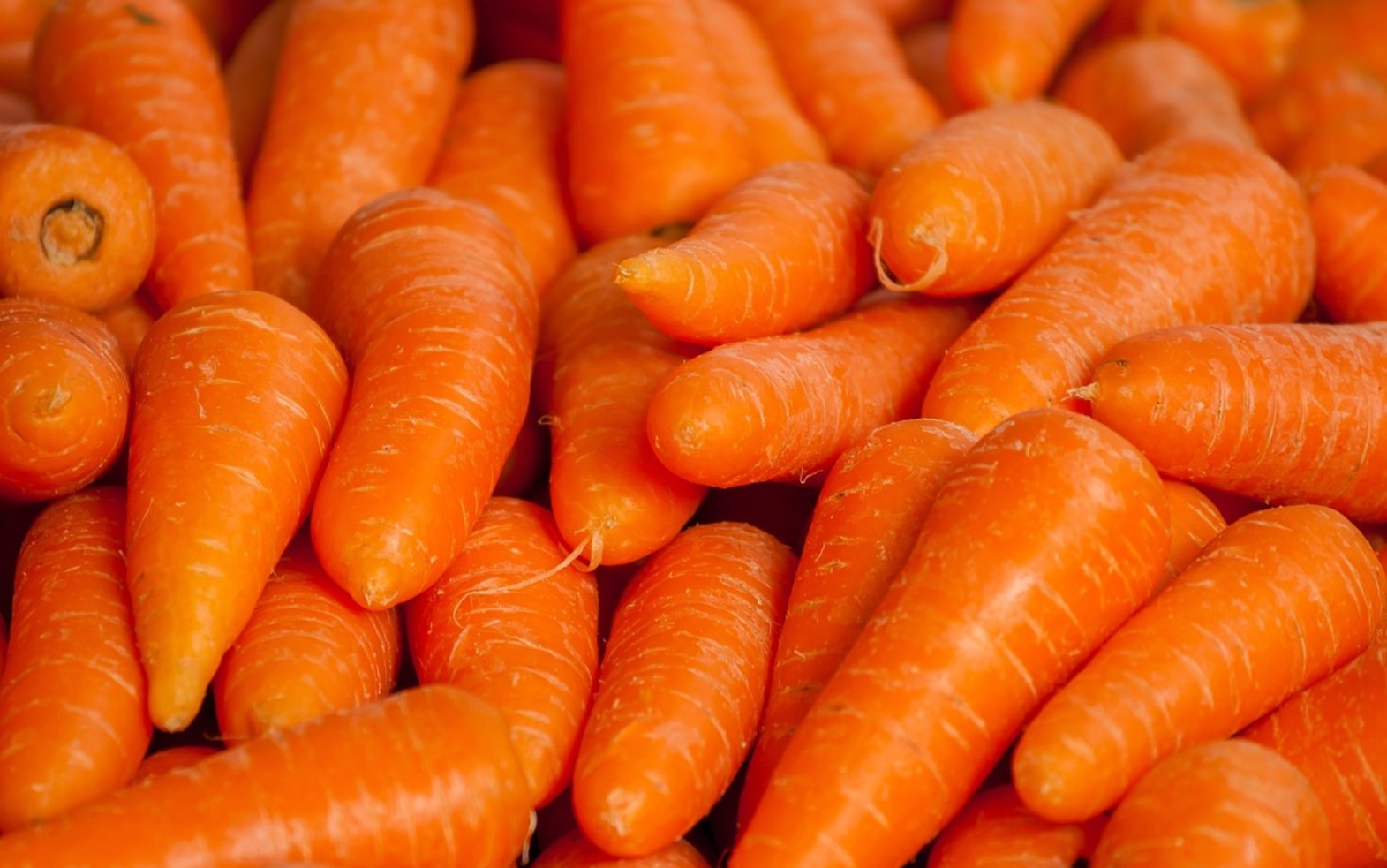 중년층 건강식 다이어트