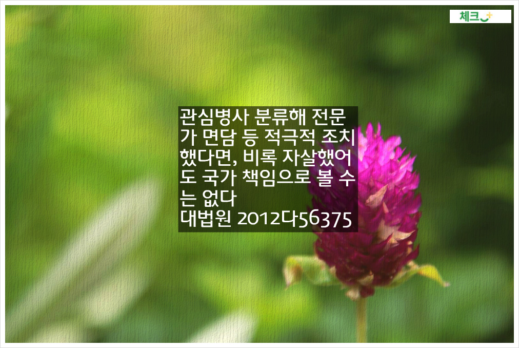 관심병사 분류해 전문가 면담 등 적극적 조치했다면, 비록 자살했어도 국가 책임으로 볼 수는 없다