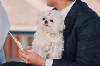 구성환 꽃분이 나이 프로필 사망 나혼산 국토대장정